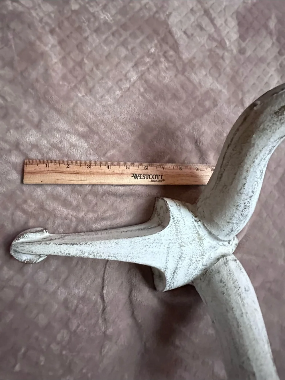 Vintage Rustic White Decorative Wall Horn